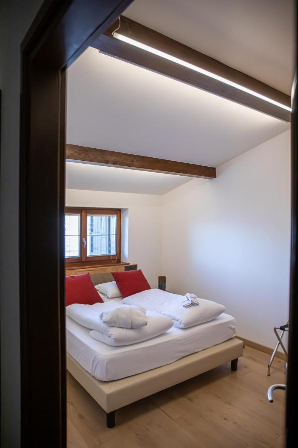 Maison Faganello Chalet Tambre dʼAlpago Exteriér fotografie